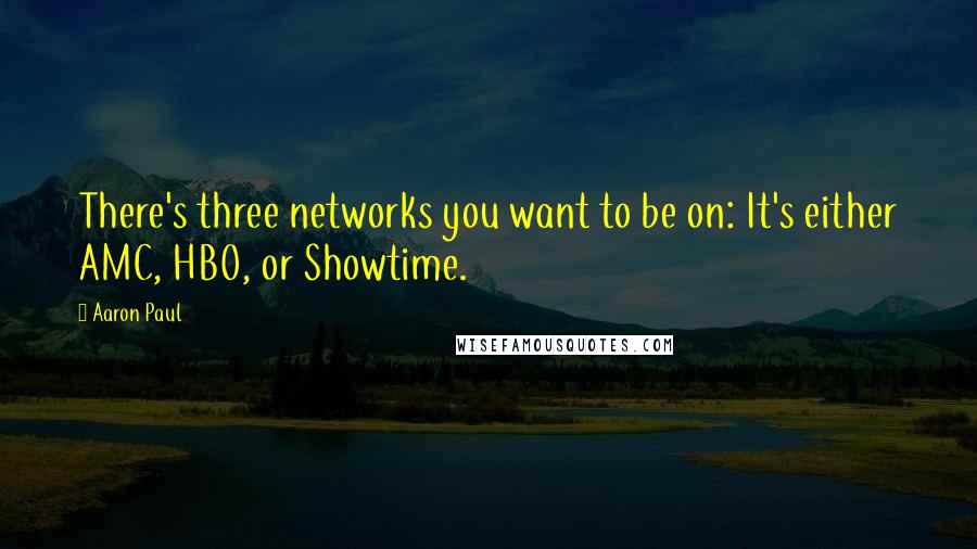 Aaron Paul Quotes: There's three networks you want to be on: It's either AMC, HBO, or Showtime.