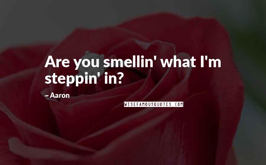 Aaron Quotes: Are you smellin' what I'm steppin' in?