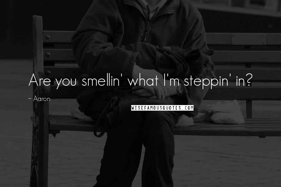 Aaron Quotes: Are you smellin' what I'm steppin' in?