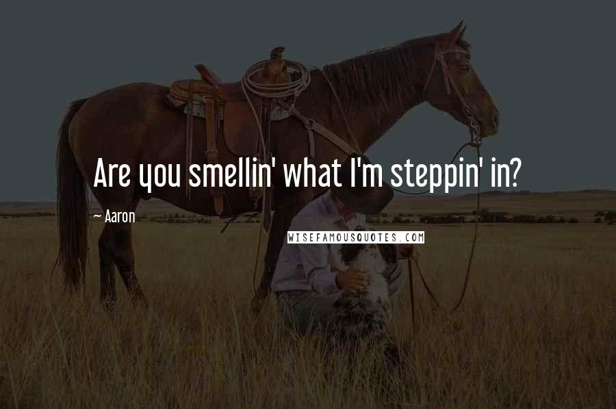 Aaron Quotes: Are you smellin' what I'm steppin' in?