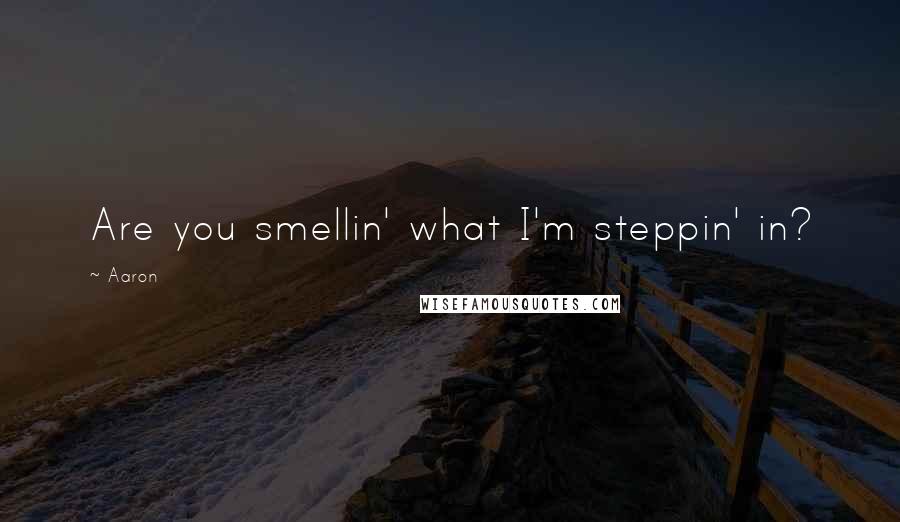 Aaron Quotes: Are you smellin' what I'm steppin' in?