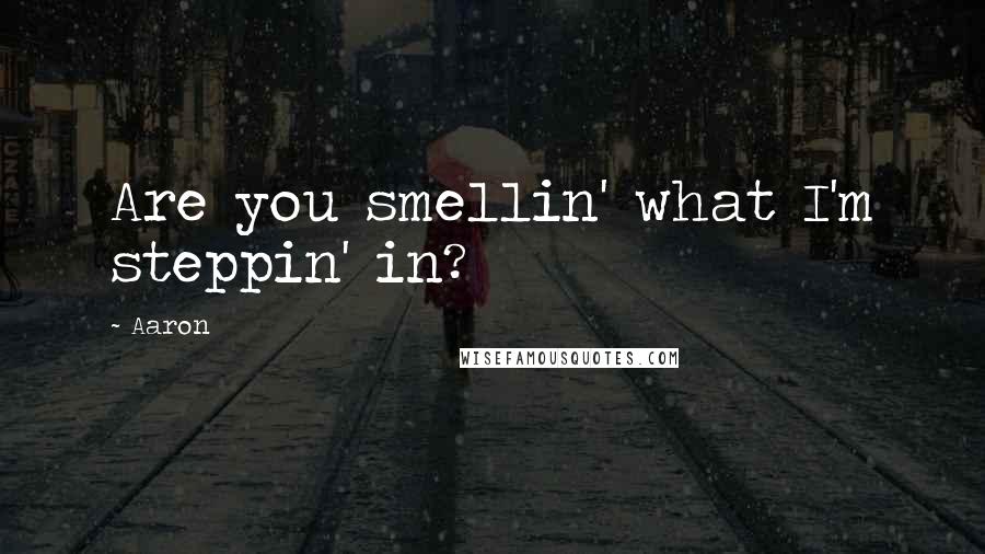 Aaron Quotes: Are you smellin' what I'm steppin' in?