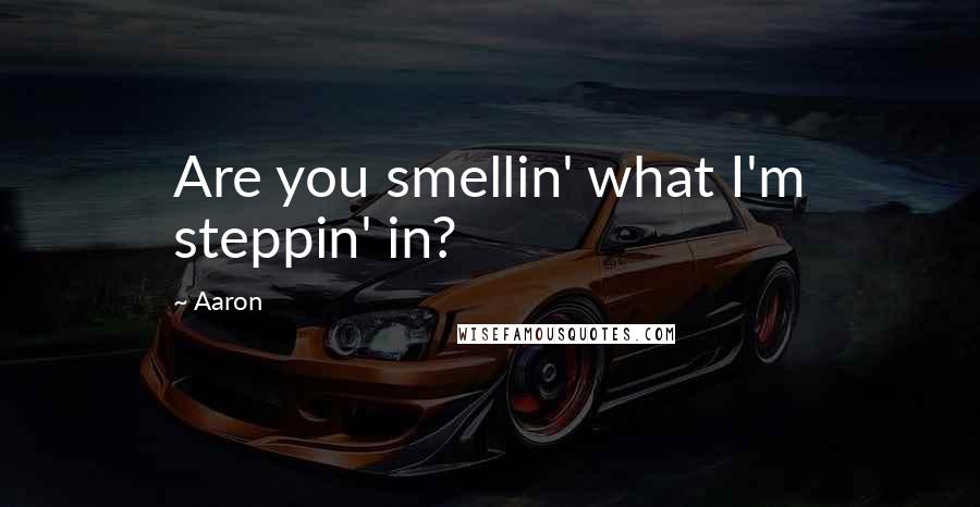 Aaron Quotes: Are you smellin' what I'm steppin' in?