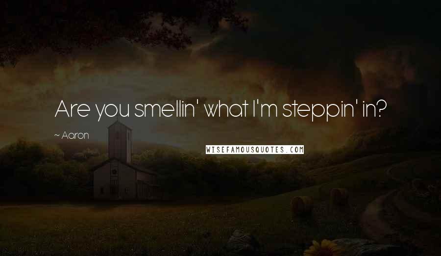 Aaron Quotes: Are you smellin' what I'm steppin' in?