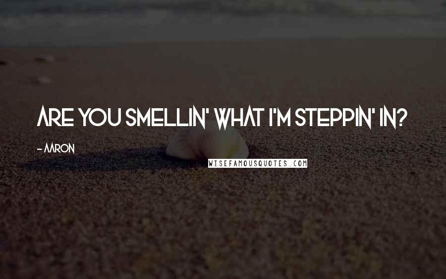 Aaron Quotes: Are you smellin' what I'm steppin' in?