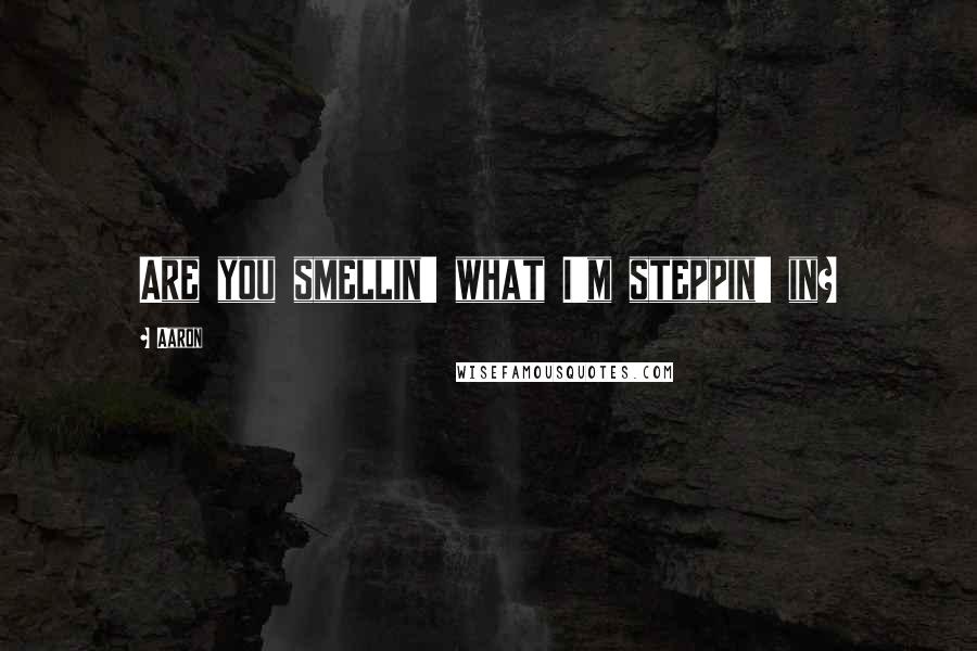 Aaron Quotes: Are you smellin' what I'm steppin' in?