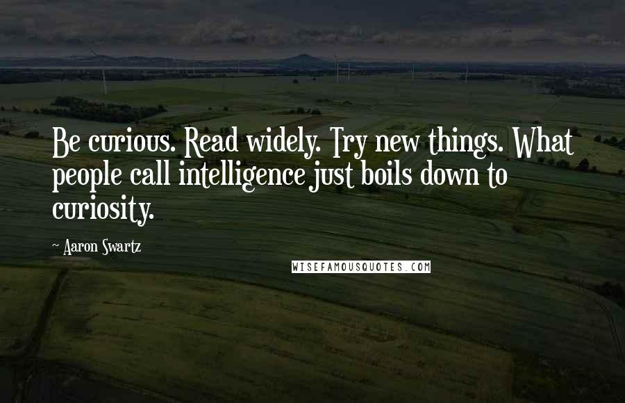 Aaron Swartz Quotes: Be curious. Read widely. Try new things. What people call intelligence just boils down to curiosity.