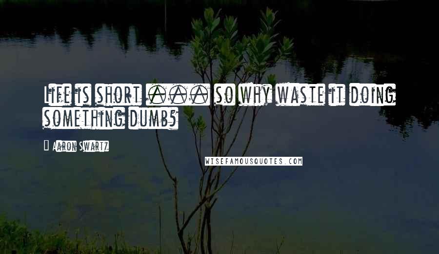 Aaron Swartz Quotes: Life is short ... so why waste it doing something dumb?