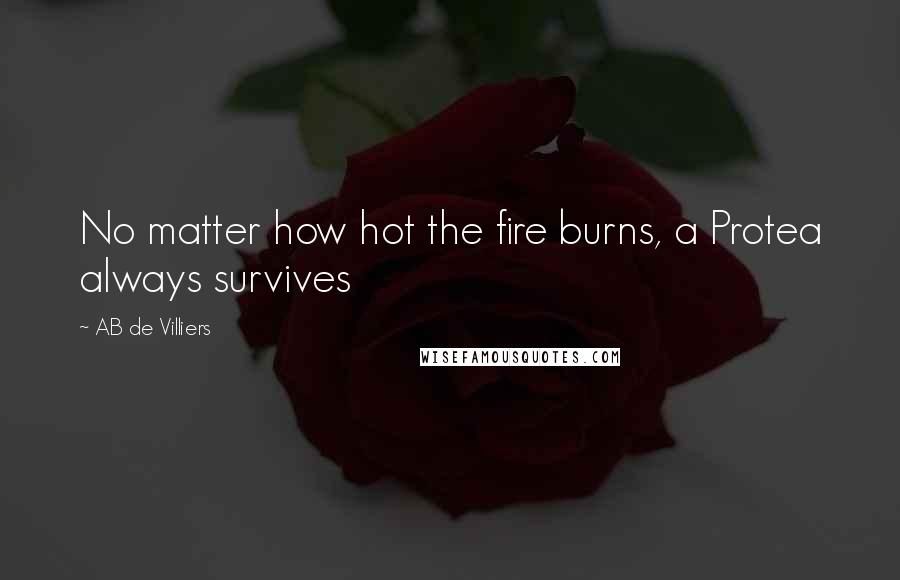 AB De Villiers Quotes: No matter how hot the fire burns, a Protea always survives