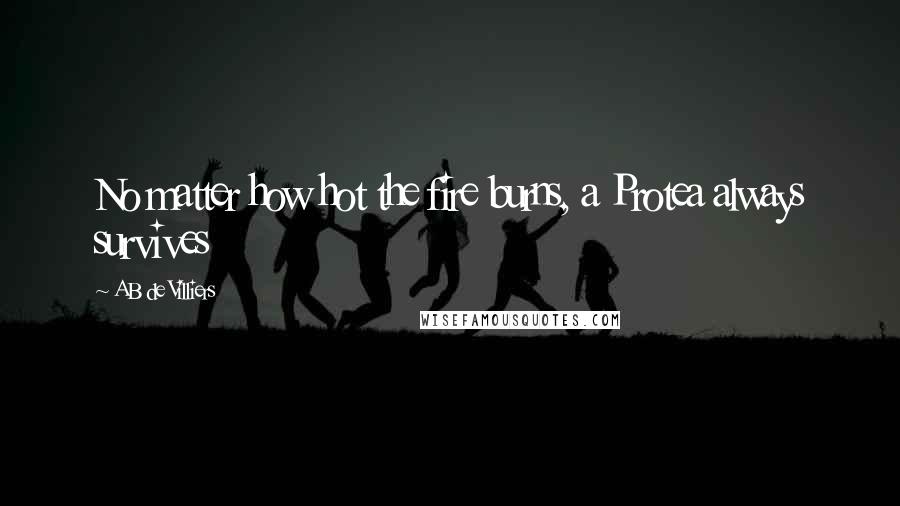 AB De Villiers Quotes: No matter how hot the fire burns, a Protea always survives