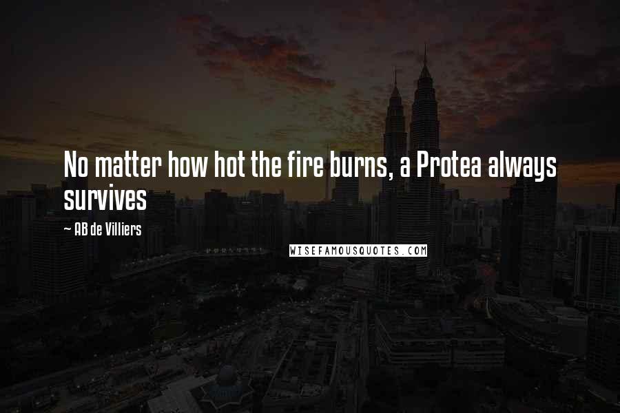 AB De Villiers Quotes: No matter how hot the fire burns, a Protea always survives
