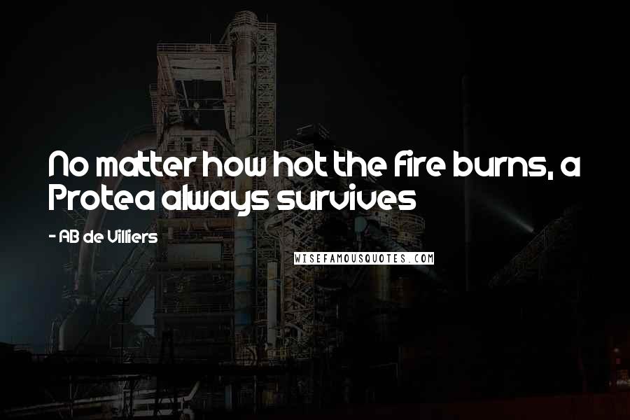 AB De Villiers Quotes: No matter how hot the fire burns, a Protea always survives