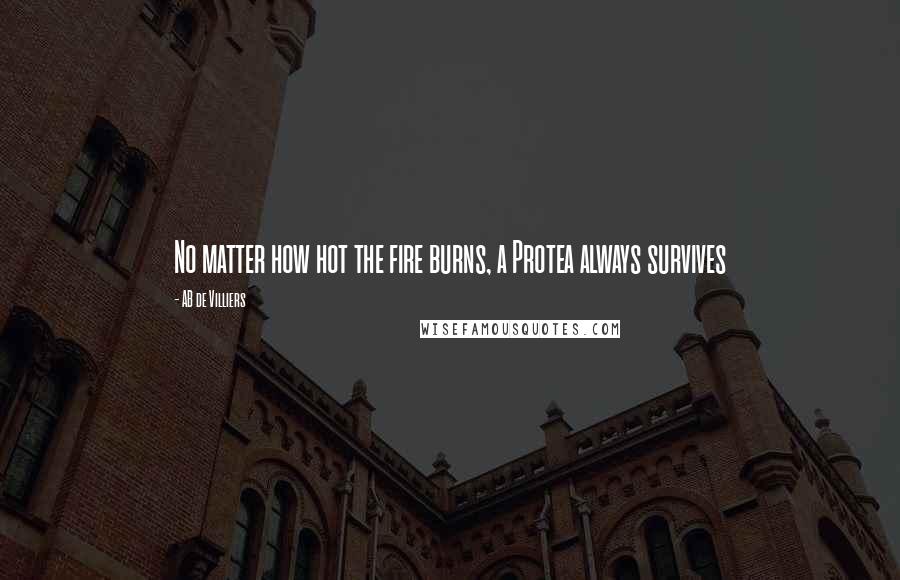 AB De Villiers Quotes: No matter how hot the fire burns, a Protea always survives