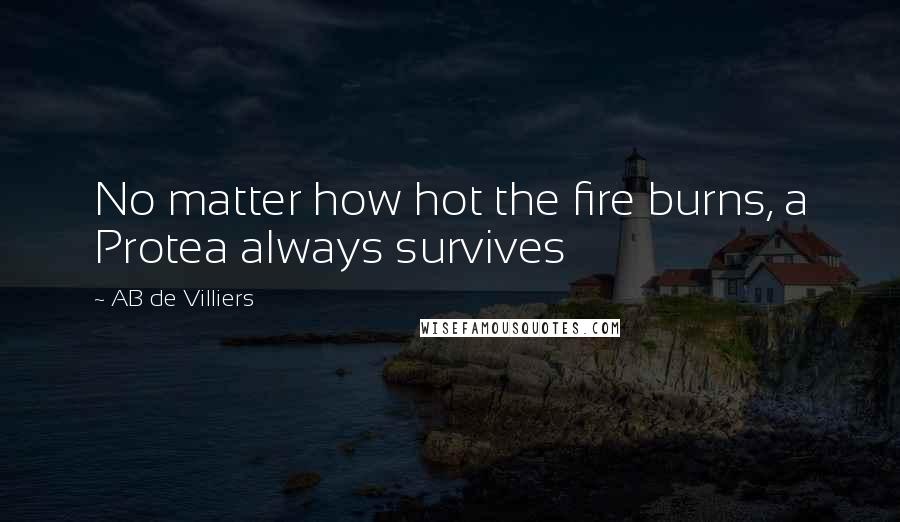 AB De Villiers Quotes: No matter how hot the fire burns, a Protea always survives