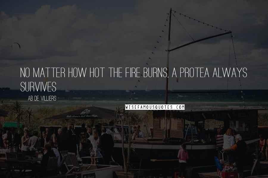 AB De Villiers Quotes: No matter how hot the fire burns, a Protea always survives