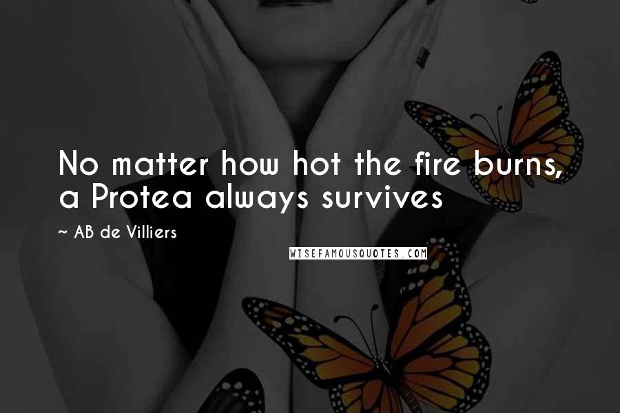 AB De Villiers Quotes: No matter how hot the fire burns, a Protea always survives