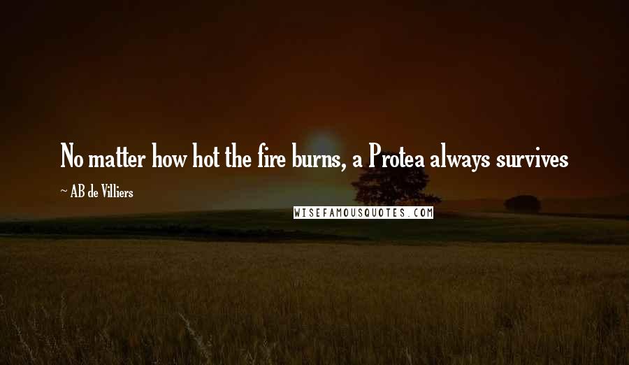 AB De Villiers Quotes: No matter how hot the fire burns, a Protea always survives