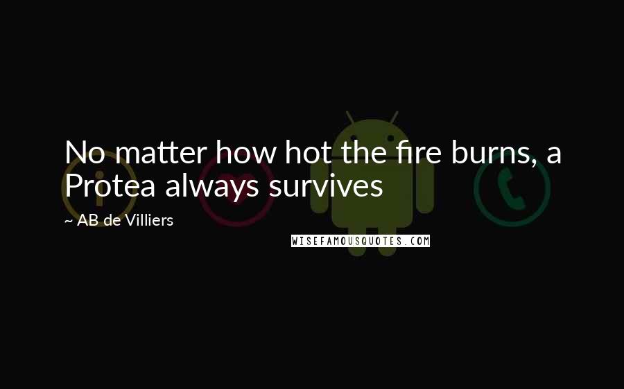 AB De Villiers Quotes: No matter how hot the fire burns, a Protea always survives