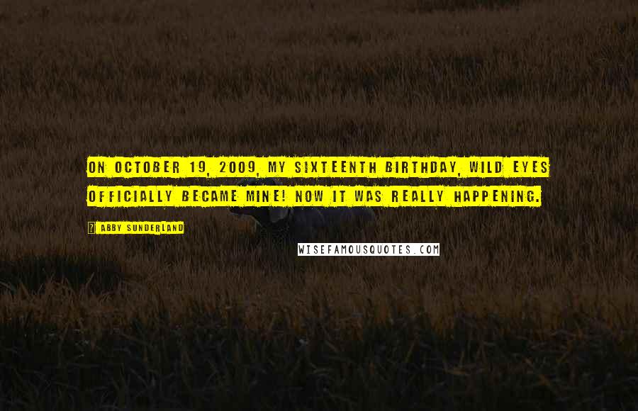 Abby Sunderland Quotes: On October 19, 2009, my sixteenth birthday, Wild Eyes officially became mine! Now it was really happening.