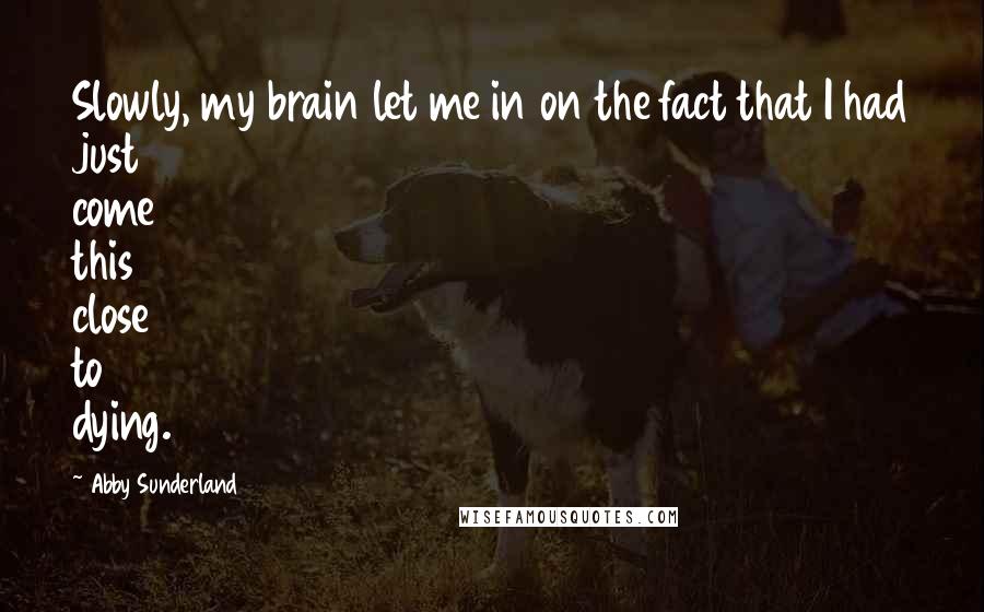 Abby Sunderland Quotes: Slowly, my brain let me in on the fact that I had just come this close to dying.