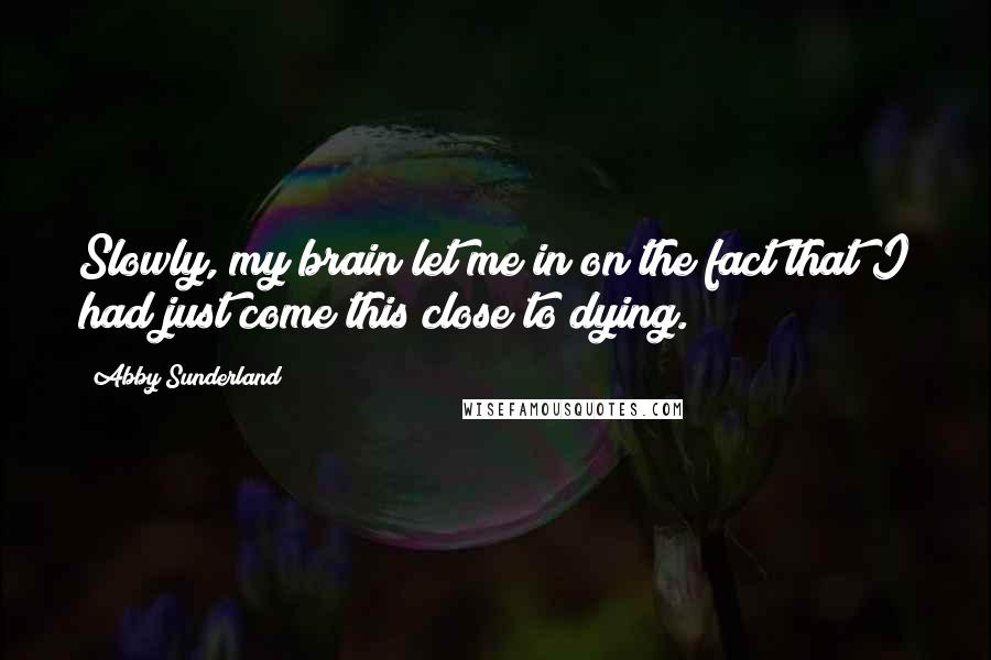 Abby Sunderland Quotes: Slowly, my brain let me in on the fact that I had just come this close to dying.