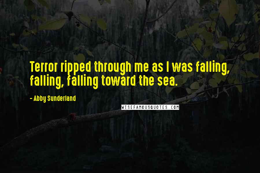 Abby Sunderland Quotes: Terror ripped through me as I was falling, falling, falling toward the sea.