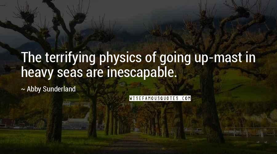 Abby Sunderland Quotes: The terrifying physics of going up-mast in heavy seas are inescapable.