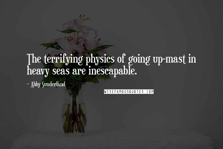 Abby Sunderland Quotes: The terrifying physics of going up-mast in heavy seas are inescapable.