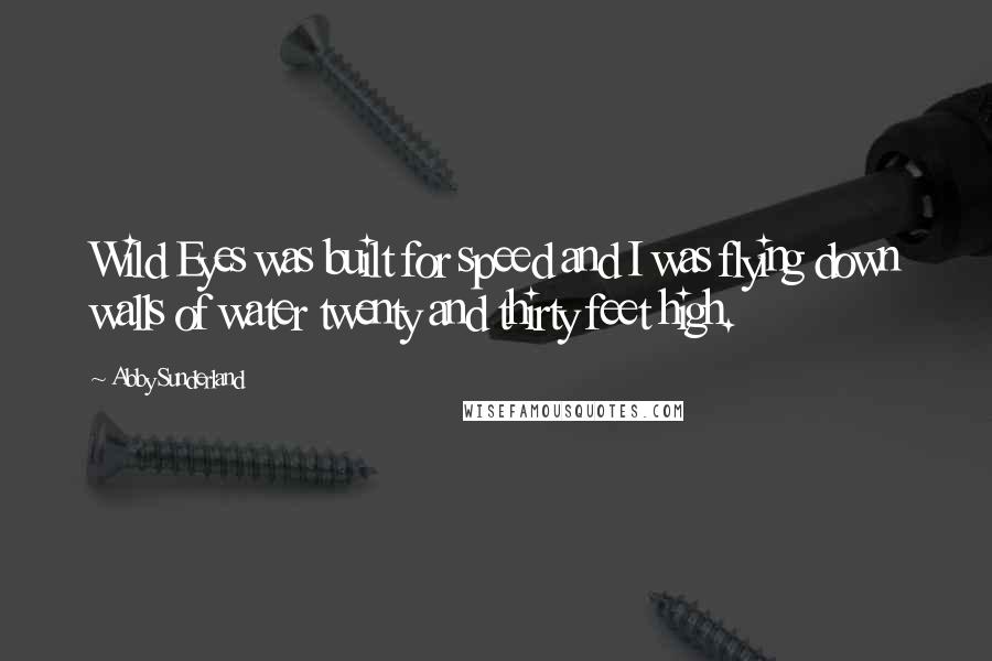 Abby Sunderland Quotes: Wild Eyes was built for speed and I was flying down walls of water twenty and thirty feet high.