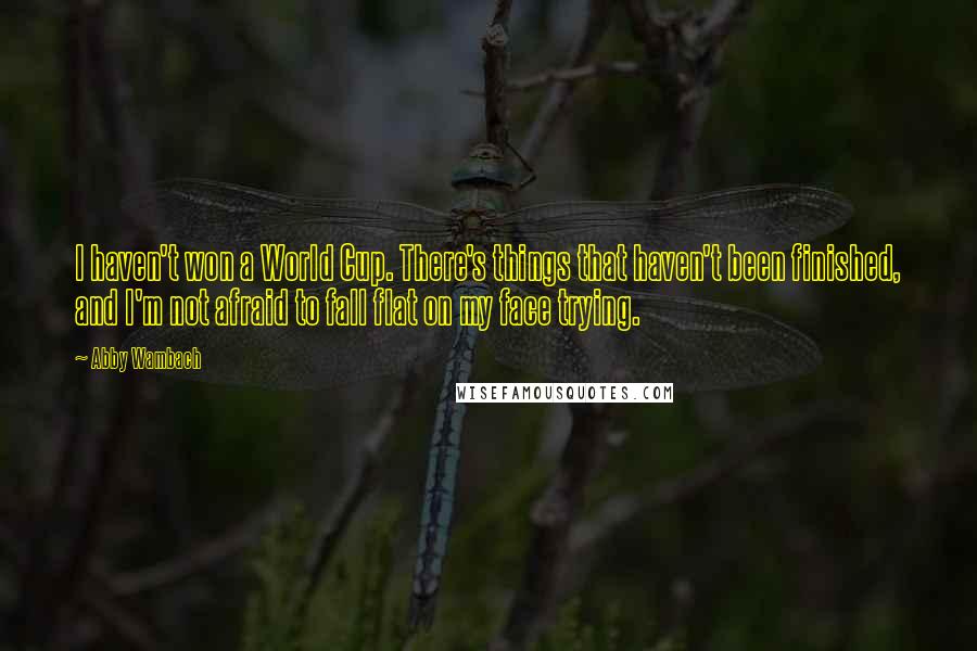 Abby Wambach Quotes: I haven't won a World Cup. There's things that haven't been finished, and I'm not afraid to fall flat on my face trying.