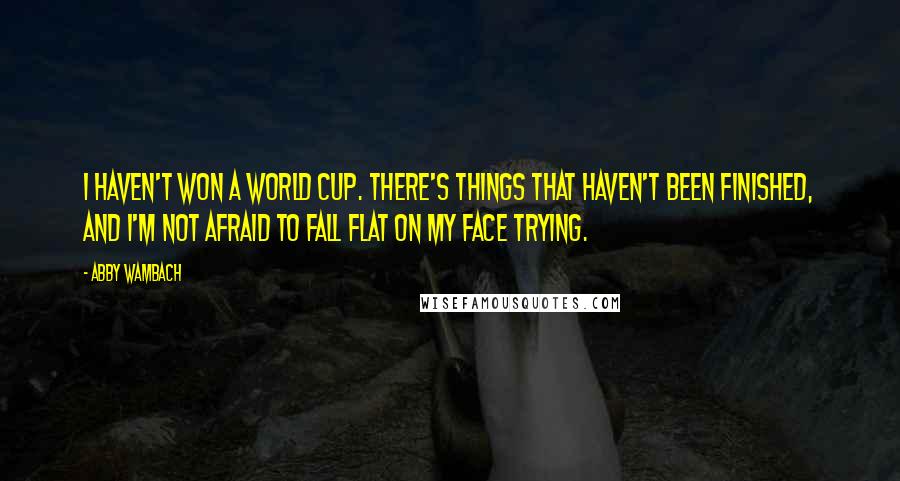 Abby Wambach Quotes: I haven't won a World Cup. There's things that haven't been finished, and I'm not afraid to fall flat on my face trying.