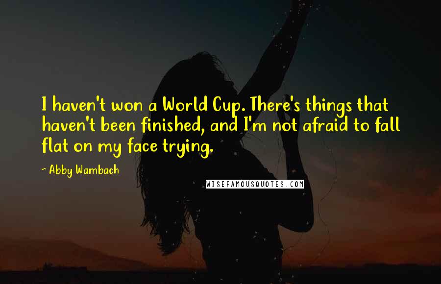 Abby Wambach Quotes: I haven't won a World Cup. There's things that haven't been finished, and I'm not afraid to fall flat on my face trying.