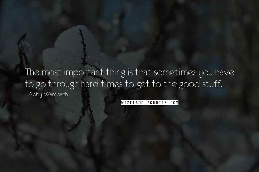 Abby Wambach Quotes: The most important thing is that sometimes you have to go through hard times to get to the good stuff.