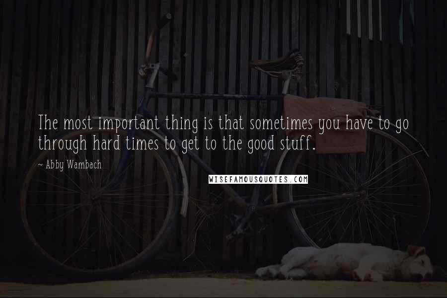 Abby Wambach Quotes: The most important thing is that sometimes you have to go through hard times to get to the good stuff.