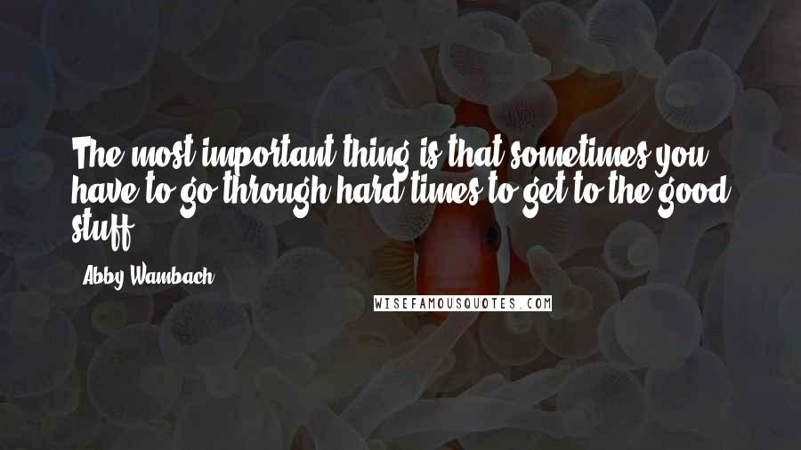 Abby Wambach Quotes: The most important thing is that sometimes you have to go through hard times to get to the good stuff.