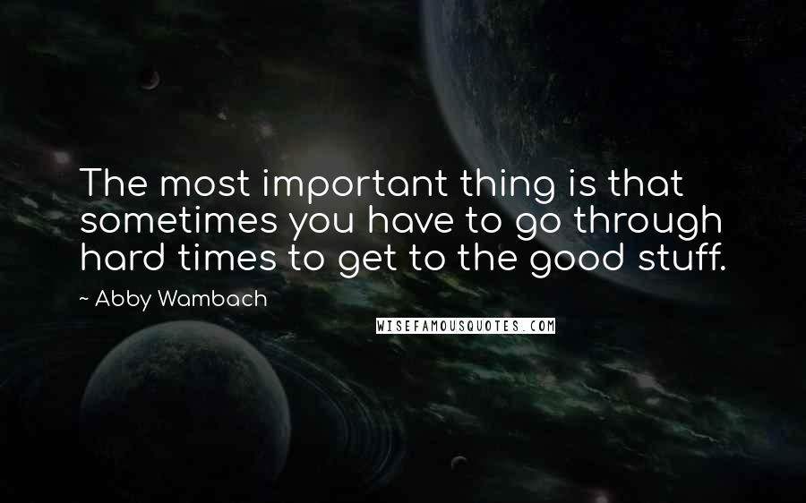 Abby Wambach Quotes: The most important thing is that sometimes you have to go through hard times to get to the good stuff.