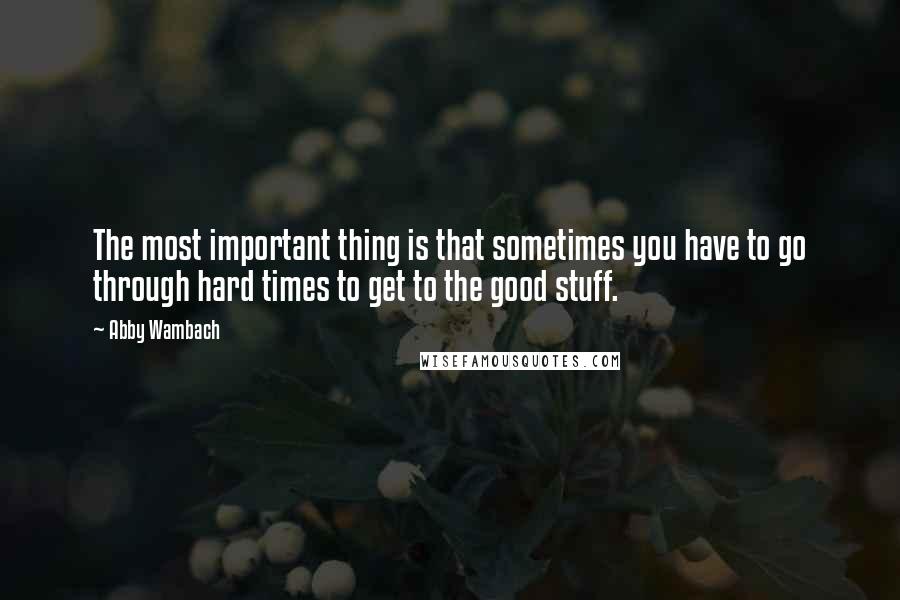 Abby Wambach Quotes: The most important thing is that sometimes you have to go through hard times to get to the good stuff.