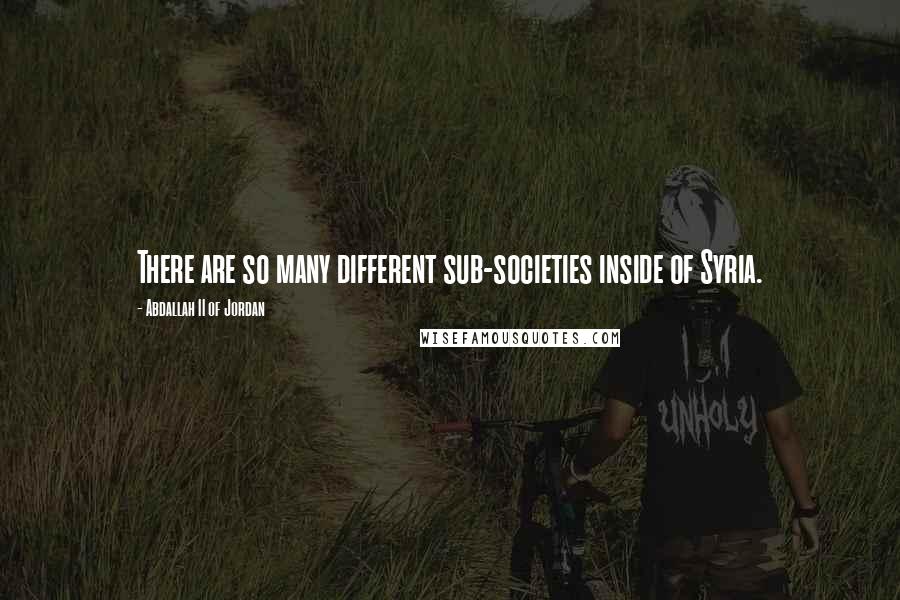 Abdallah II Of Jordan Quotes: There are so many different sub-societies inside of Syria.