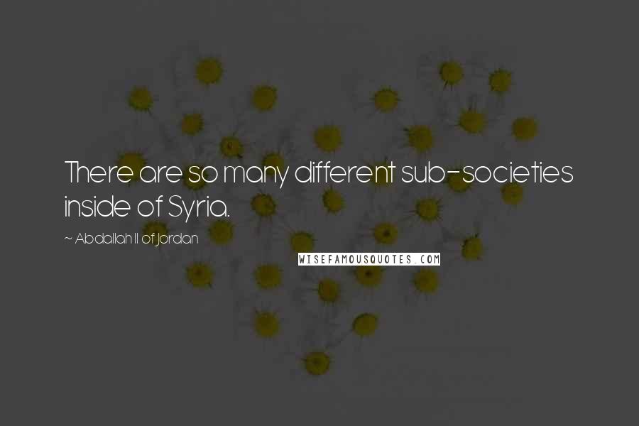 Abdallah II Of Jordan Quotes: There are so many different sub-societies inside of Syria.