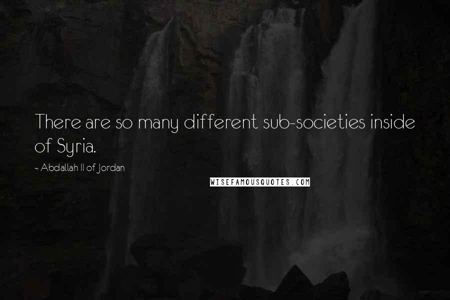 Abdallah II Of Jordan Quotes: There are so many different sub-societies inside of Syria.