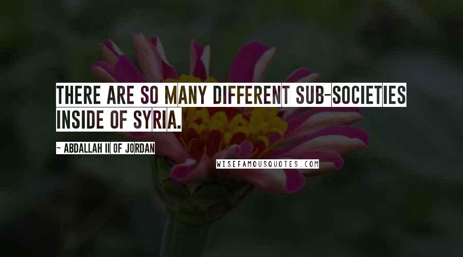 Abdallah II Of Jordan Quotes: There are so many different sub-societies inside of Syria.