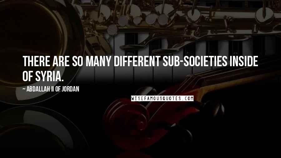 Abdallah II Of Jordan Quotes: There are so many different sub-societies inside of Syria.