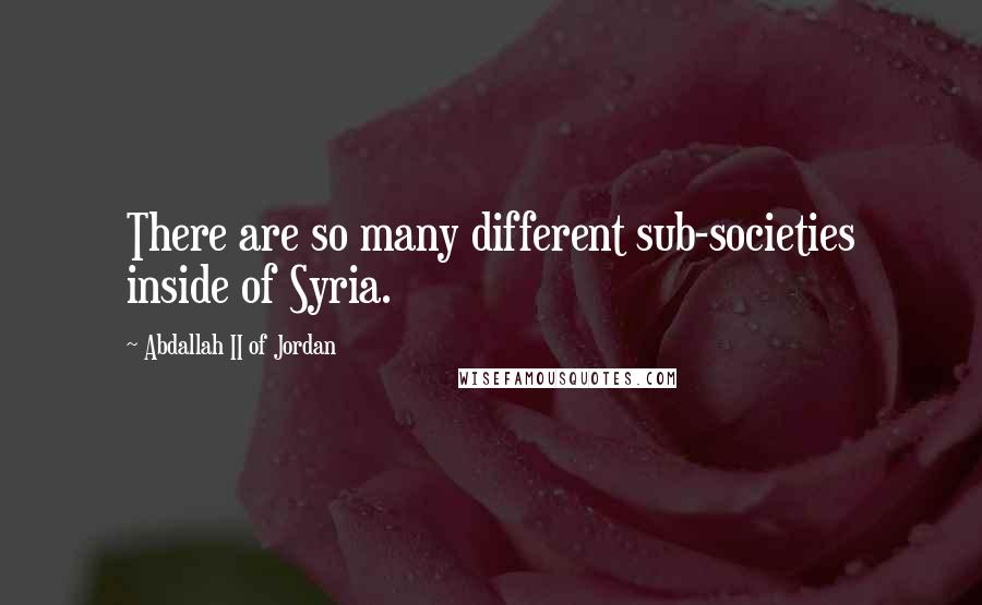 Abdallah II Of Jordan Quotes: There are so many different sub-societies inside of Syria.