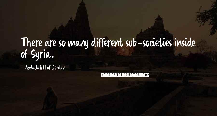 Abdallah II Of Jordan Quotes: There are so many different sub-societies inside of Syria.