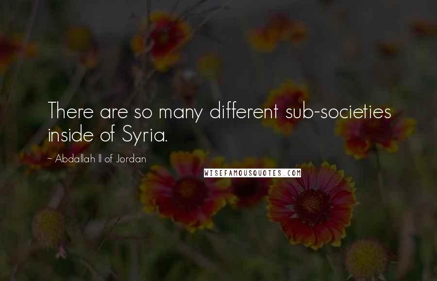 Abdallah II Of Jordan Quotes: There are so many different sub-societies inside of Syria.