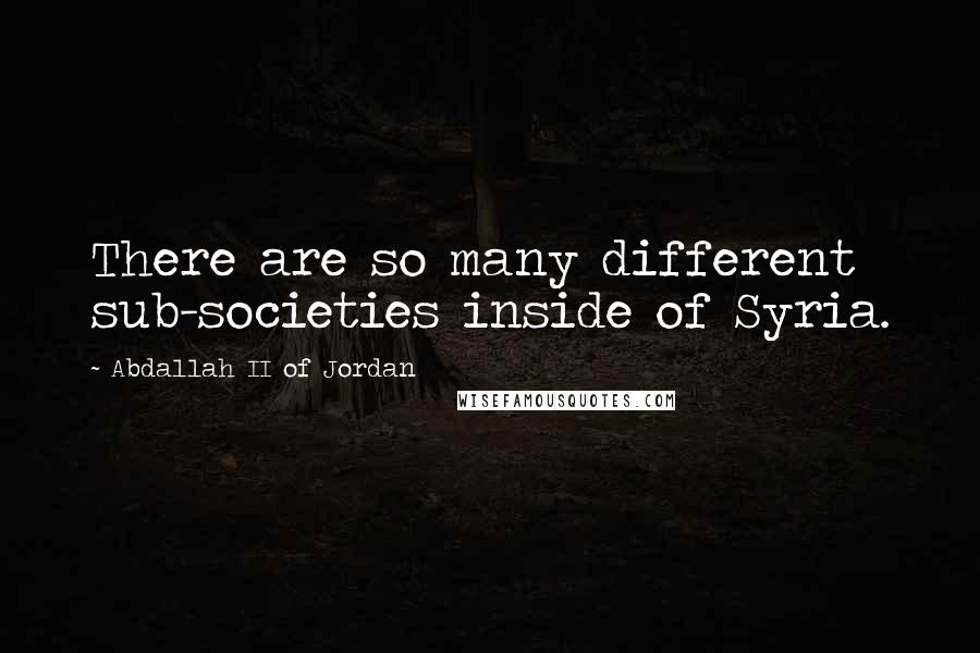 Abdallah II Of Jordan Quotes: There are so many different sub-societies inside of Syria.