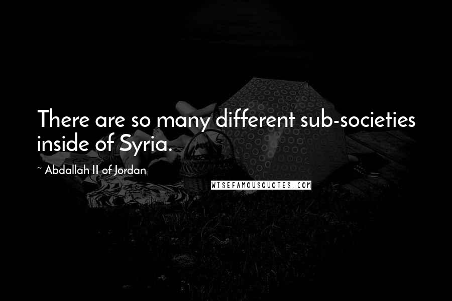 Abdallah II Of Jordan Quotes: There are so many different sub-societies inside of Syria.