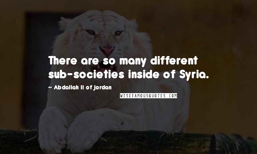 Abdallah II Of Jordan Quotes: There are so many different sub-societies inside of Syria.