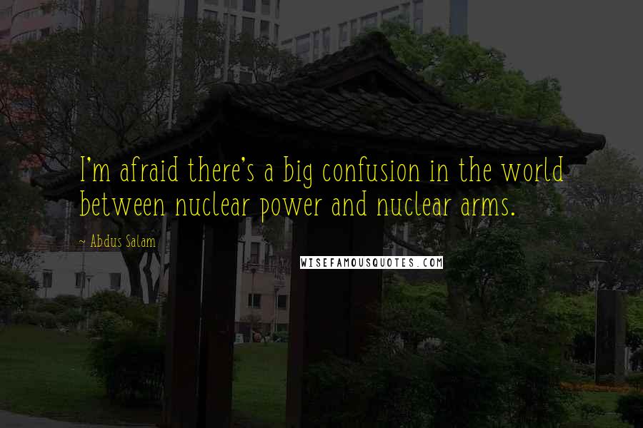 Abdus Salam Quotes: I'm afraid there's a big confusion in the world between nuclear power and nuclear arms.