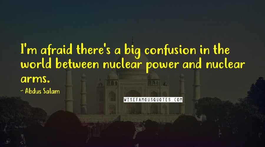 Abdus Salam Quotes: I'm afraid there's a big confusion in the world between nuclear power and nuclear arms.